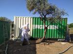 CONTAINER